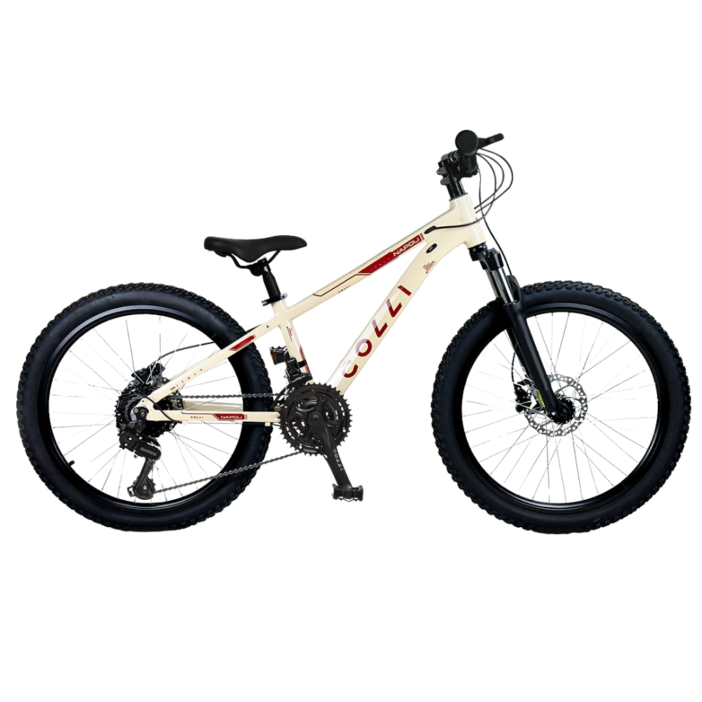 Bicicleta Colli Napoli Sport Aro 24 Aluminio 7v Bege Retro