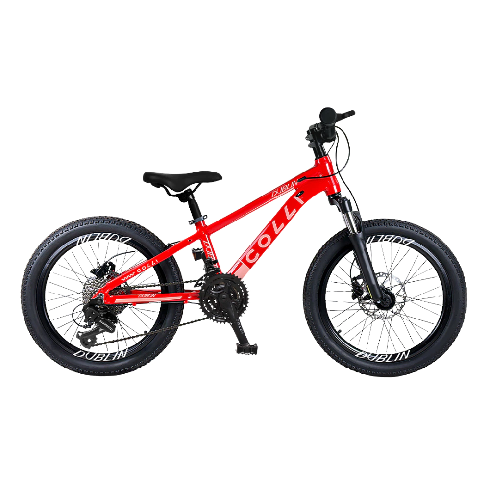 Bicicleta Colli Dublin Sport Aro 20 Aluminio 7v Vermelho